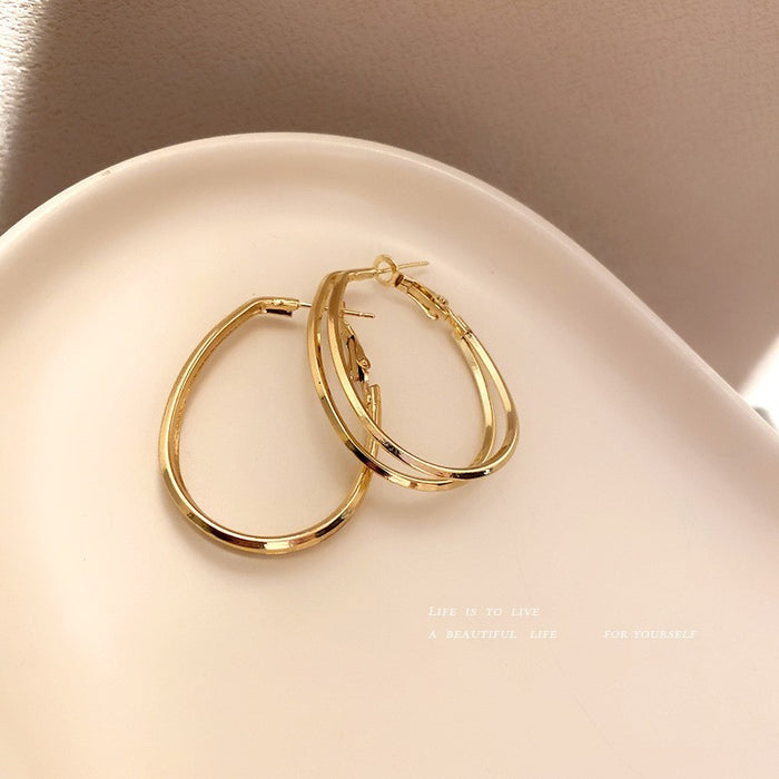 New Fashion Niche All-match Women's Earrings