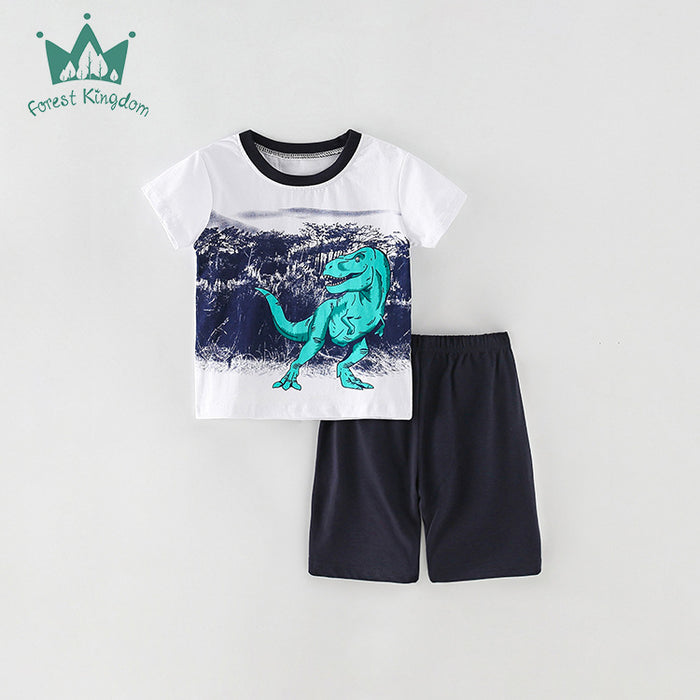 Boys' short sleeved shorts two piece set