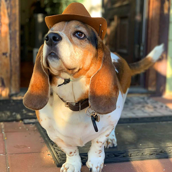 Creative Dog Skin-friendly Cool Stylish Fabric Cowboy Hat