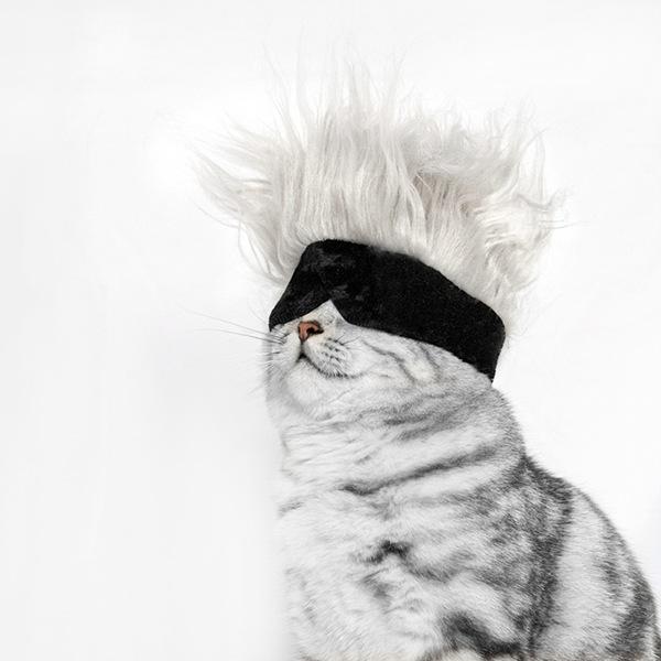 New pet wig headgear cat funny wig cat eye mask hat pet dog party hat