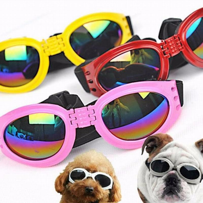 6 Colors Dog Glasses Glasses Outdoor Windproof Eye Protection