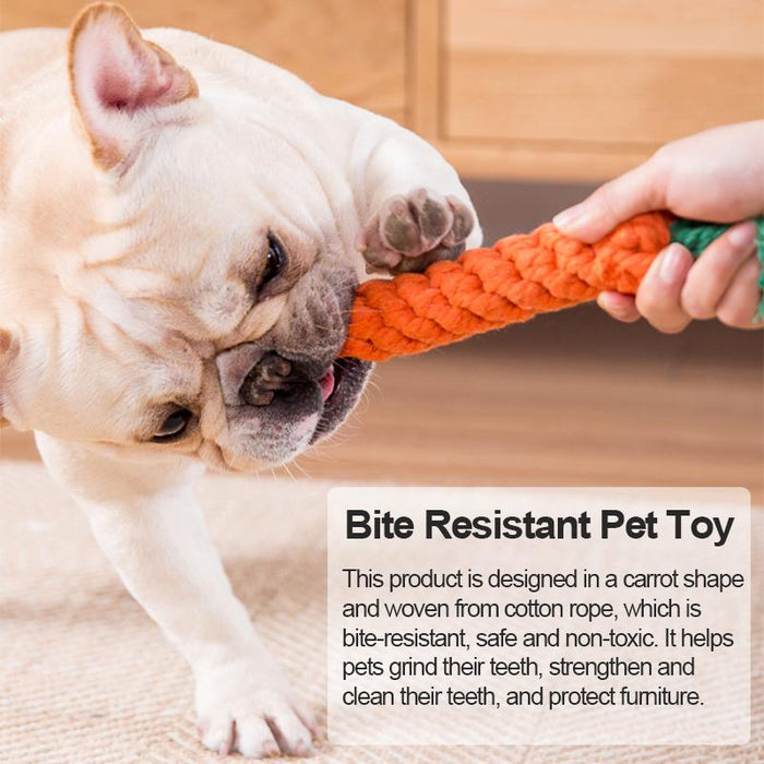 Bone Shape Biting Teeth Clean Chew Pet Toys