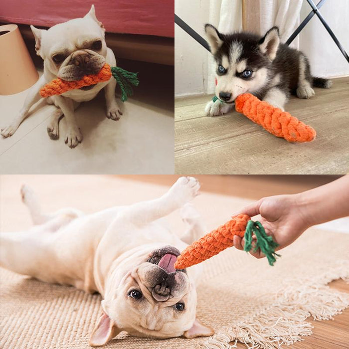 Bone Shape Biting Teeth Clean Chew Pet Toys