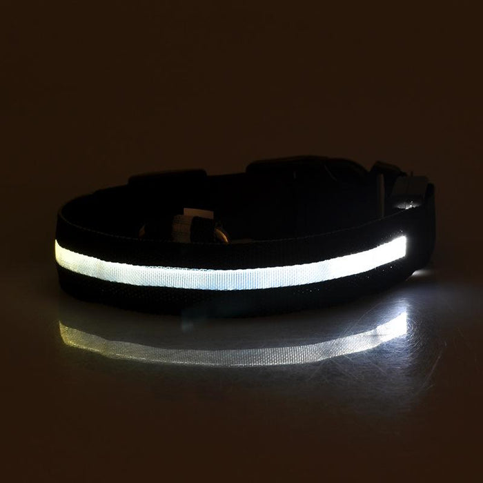 Pet Dog LED USB Rechargeable Collar