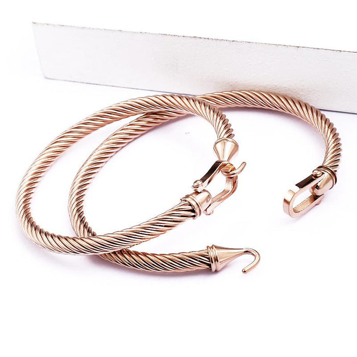 New Horseshoe Buckle Titanium Steel Bracelet Cable Twisted Wire Bracelet Bangle