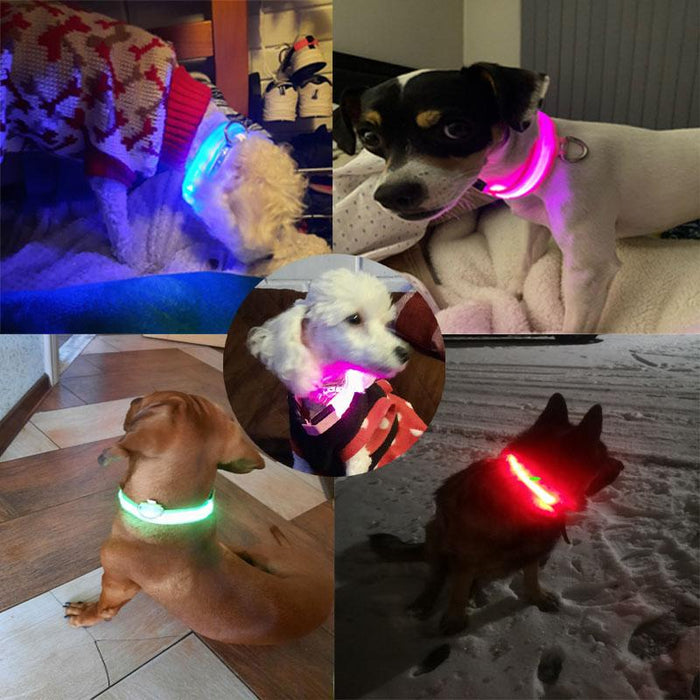 Pet Dog LED USB Rechargeable Collar