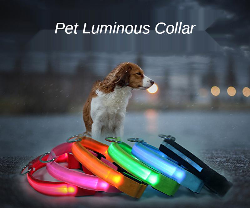 Pet Dog LED USB Rechargeable Collar