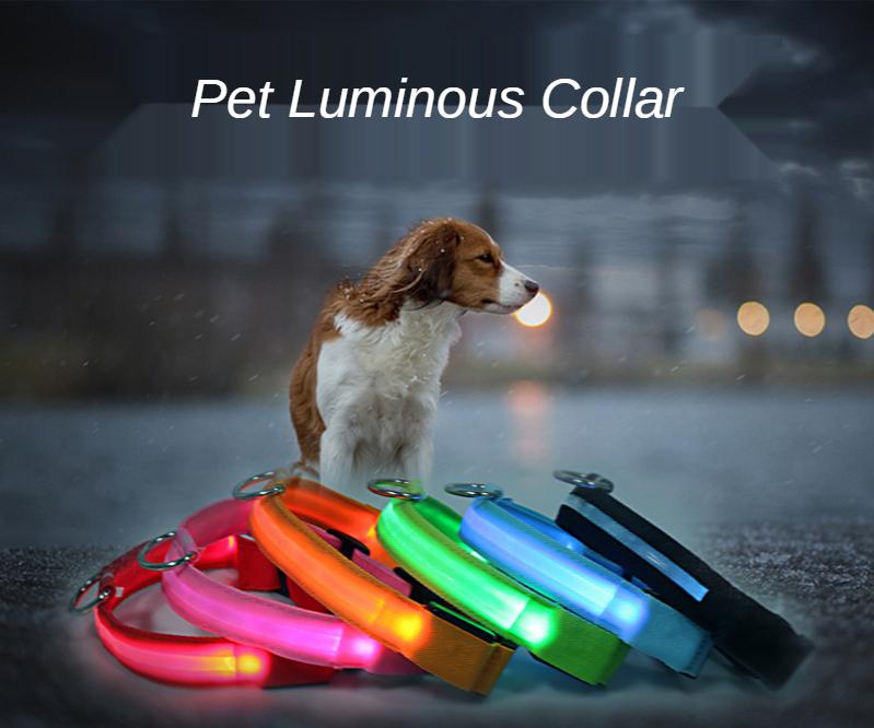 Pet Dog LED USB Rechargeable Collar