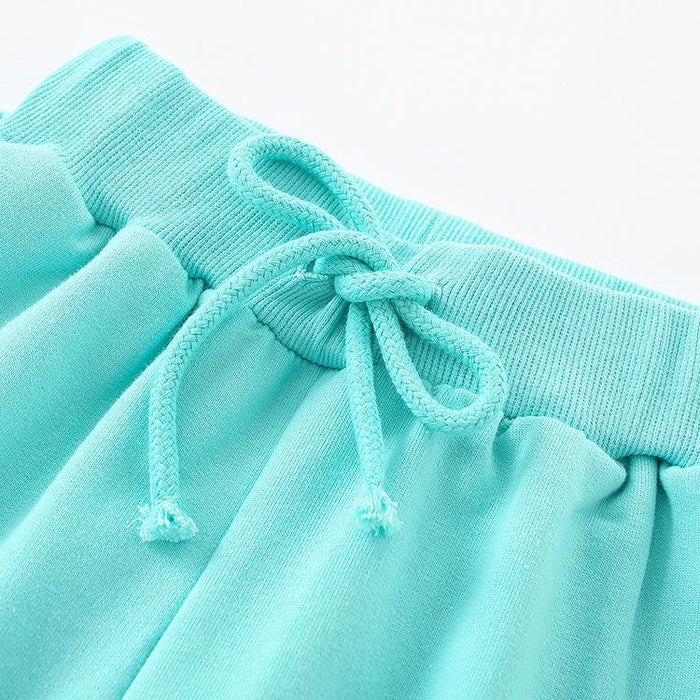 Boys' short sleeved shorts two piece set