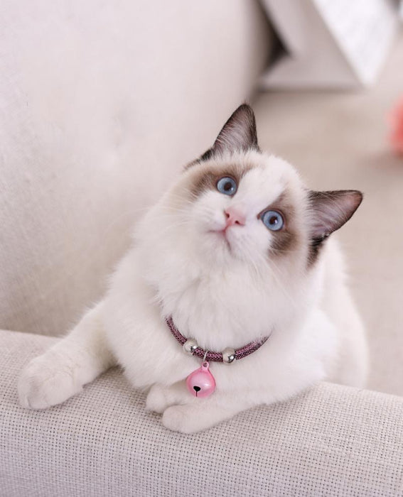 Cat Bell Collar Toy Adjustable Kitten Safety Necklace Popular Style