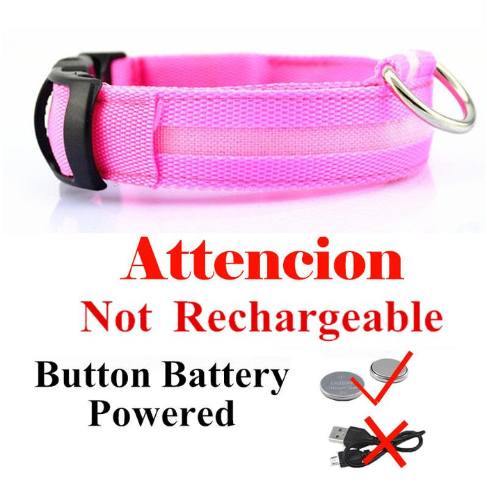 Pet Dog LED USB Rechargeable Collar