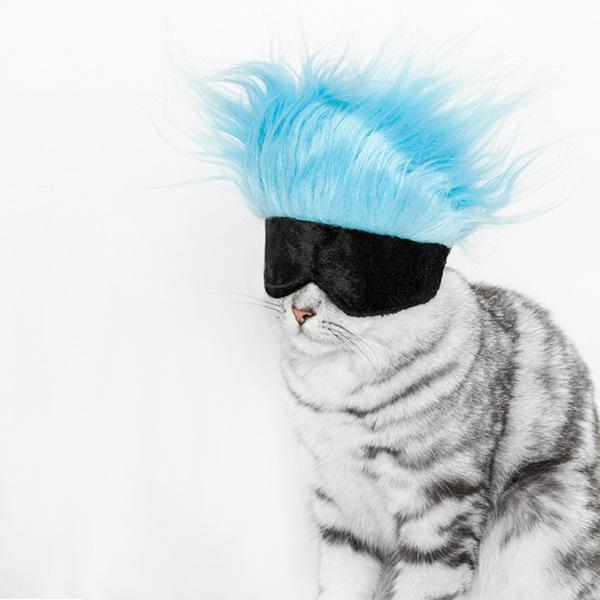 New pet wig headgear cat funny wig cat eye mask hat pet dog party hat