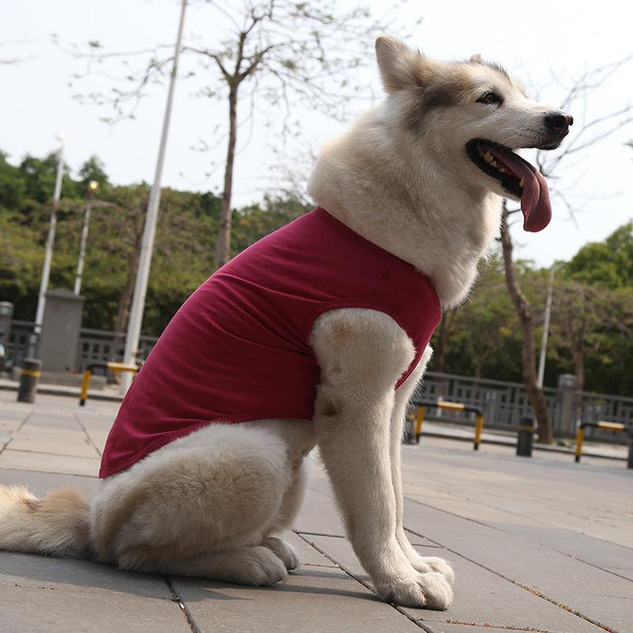 Pet Clothes Dog Cat Solid Color Cotton Vest Dog Jacket