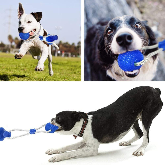 Interactive Sucker Dog Chew Toy Self Playing Dog Toy