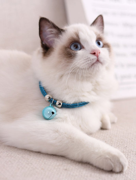 Cat Bell Collar Toy Adjustable Kitten Safety Necklace Popular Style