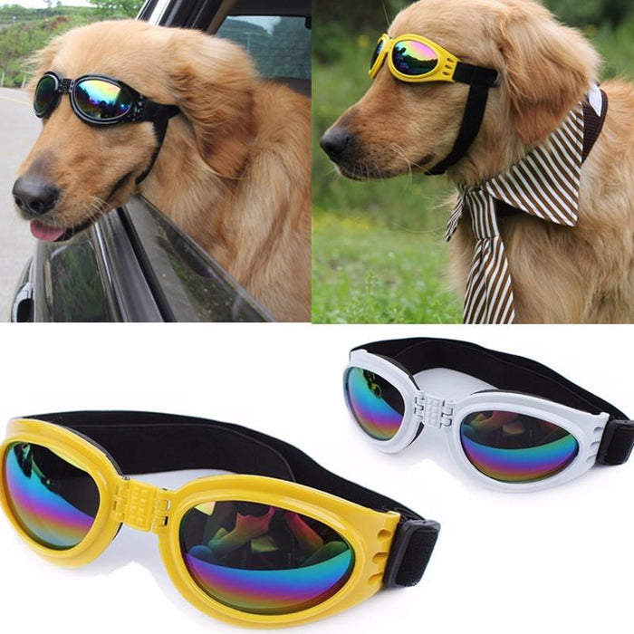 6 Colors Dog Glasses Glasses Outdoor Windproof Eye Protection