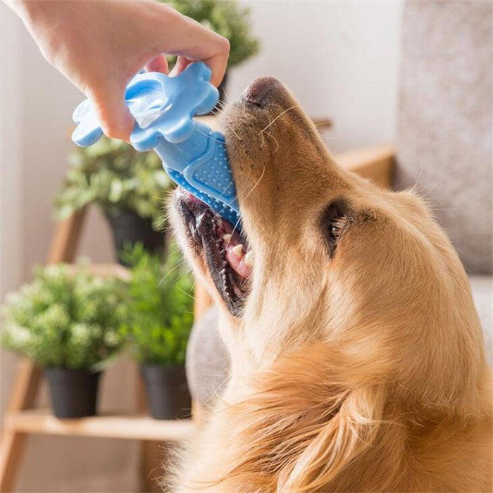 Brand New Rubber Hole Dog Toy Dog Toothbrush Toy Dog Accessories