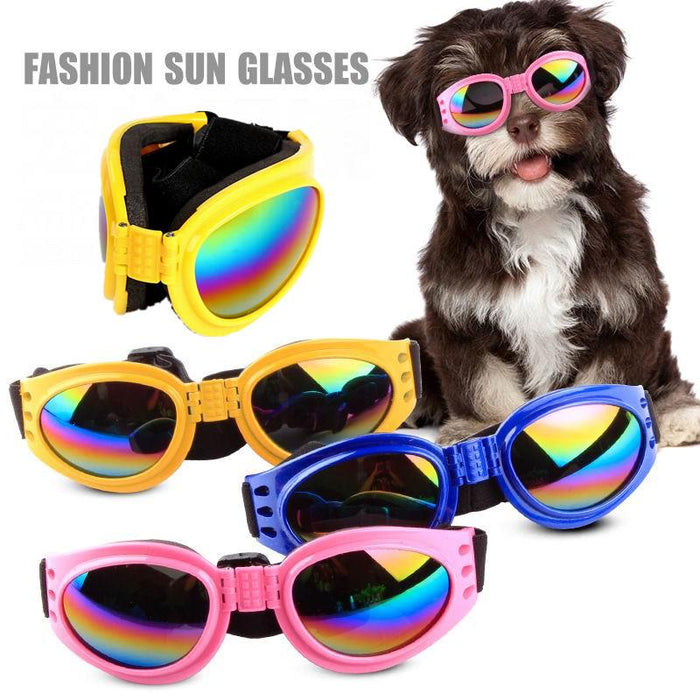 6 Colors Dog Glasses Glasses Outdoor Windproof Eye Protection