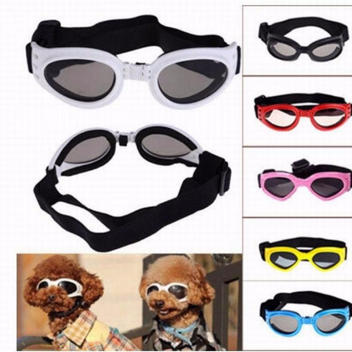 6 Colors Dog Glasses Glasses Outdoor Windproof Eye Protection