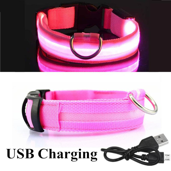 Pet Dog LED USB Rechargeable Collar