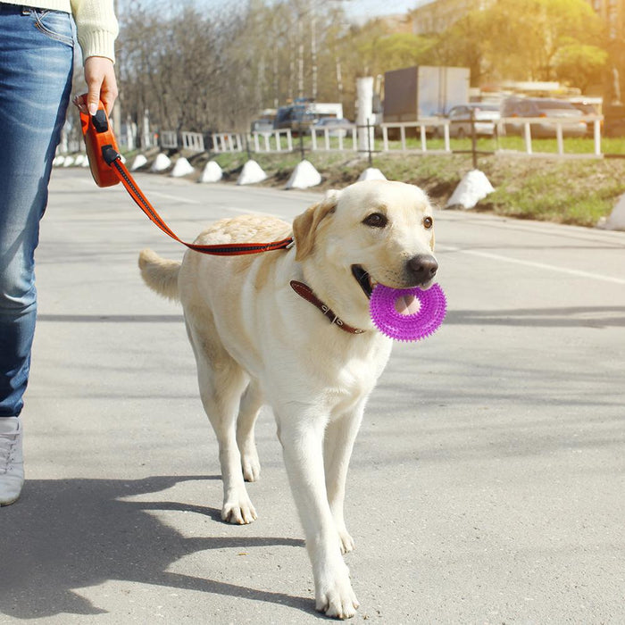 Dog TPR Chew Toy Ring Teeth Cleaning Sound Toy
