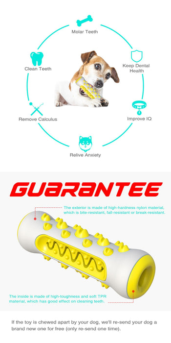 Pet dog chew toy molar toothbrush dog toy