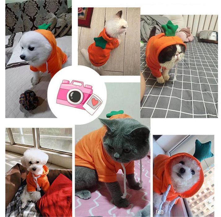 Warm Dog Winter Clothes Cute Fruit Dog Coat Hoodie