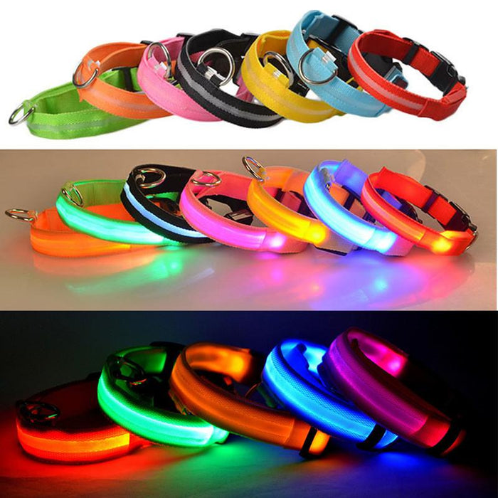 Pet Dog LED USB Rechargeable Collar