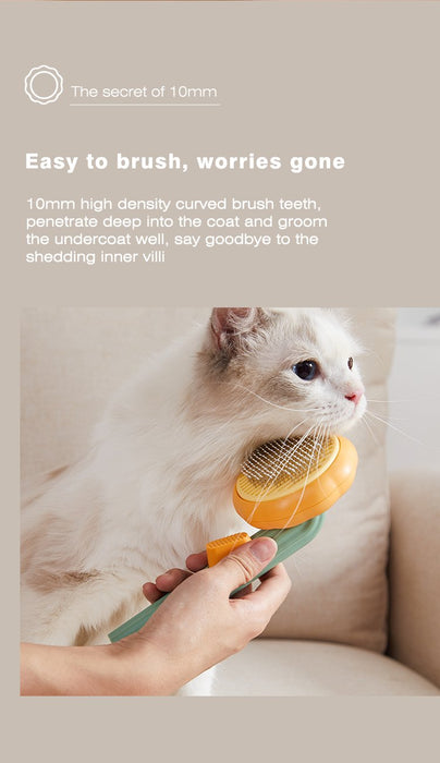 Pumpkin Pet Brush Off Self-Cleaning Oil Brush for Dogs and Cats