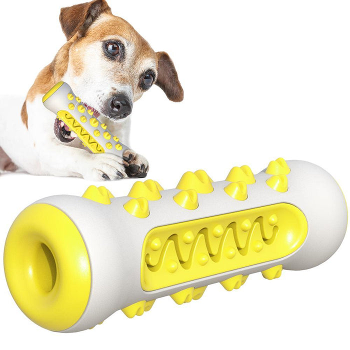 Pet dog chew toy molar toothbrush dog toy