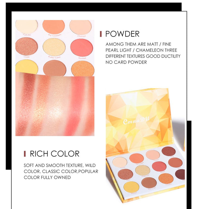 12 colour Eyeshadow disc matte metal flash