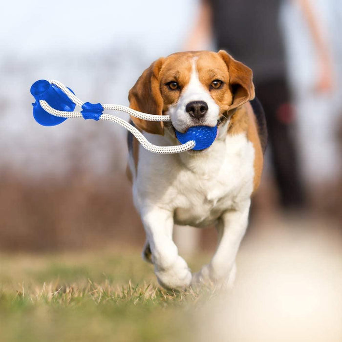 Interactive Sucker Dog Chew Toy Self Playing Dog Toy