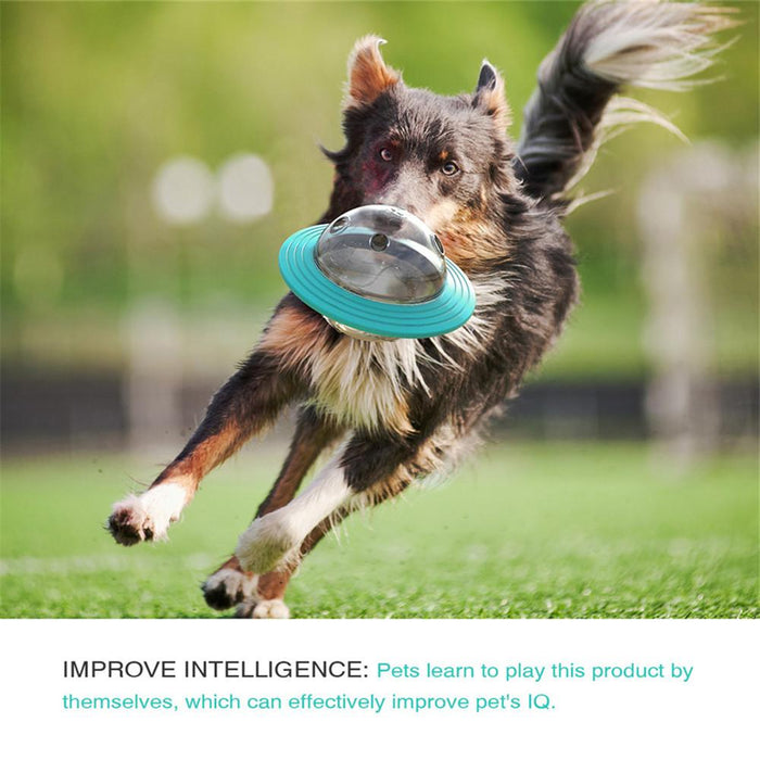 Dog accessories large dog intelligence toy