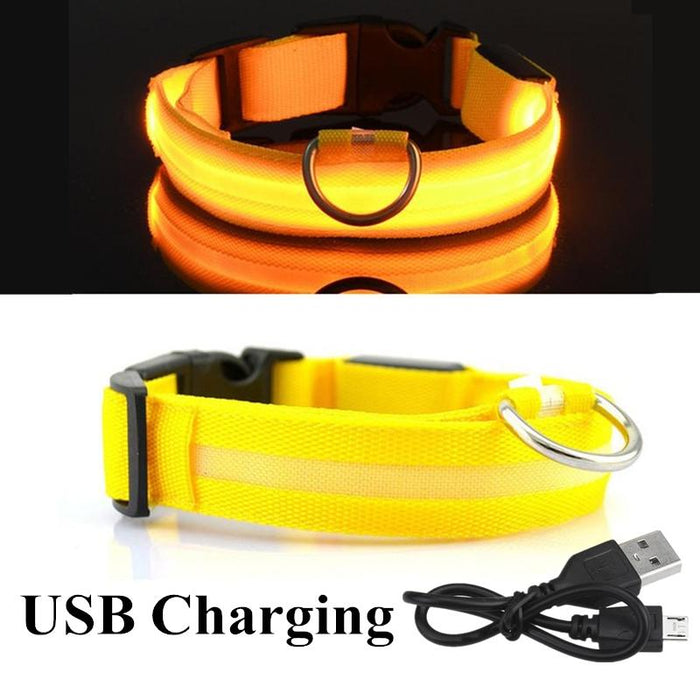 Pet Dog LED USB Rechargeable Collar