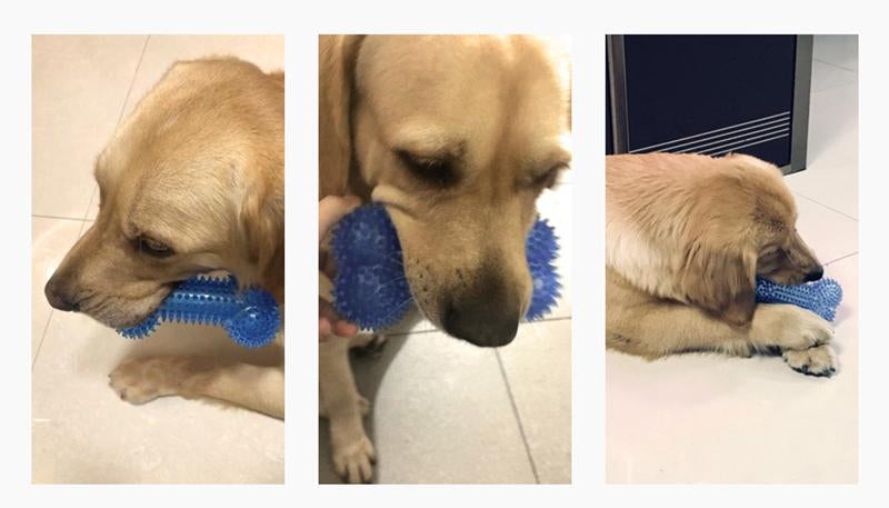 Pet Dog Toys Chewing Rubber Toys Fun Biting Bone Shapes