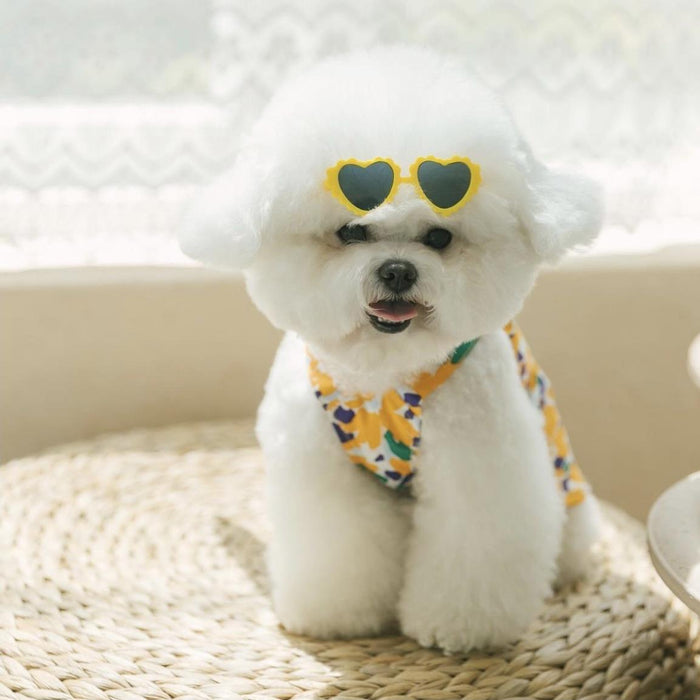 Creative lace love pet dog cat sunglasses sunglasses