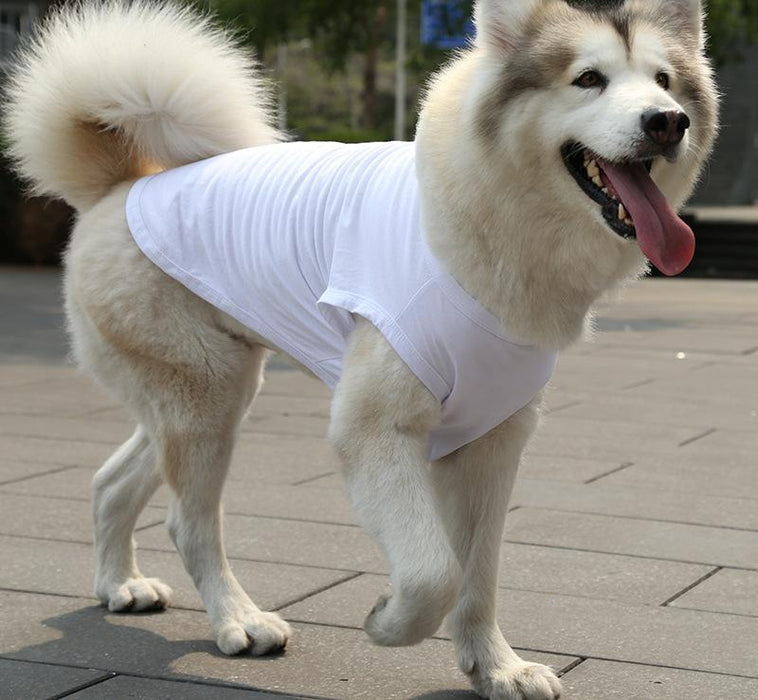 Pet Clothes Dog Cat Solid Color Cotton Vest Dog Jacket