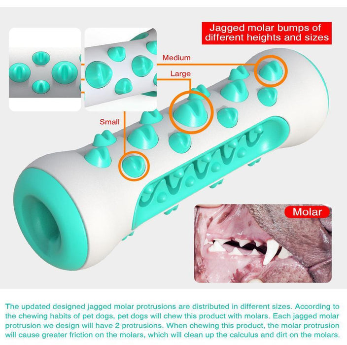 Pet dog chew toy molar toothbrush dog toy