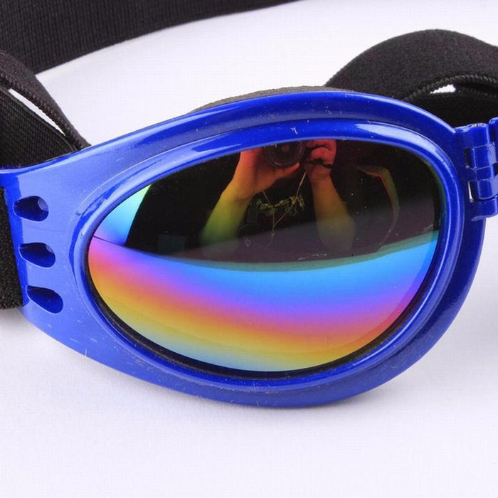 6 Colors Dog Glasses Glasses Outdoor Windproof Eye Protection
