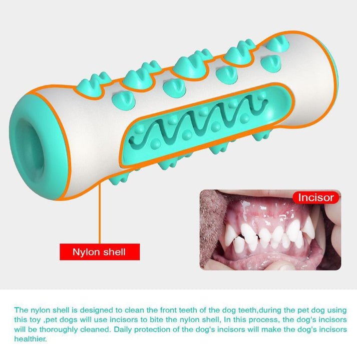Pet dog chew toy molar toothbrush dog toy