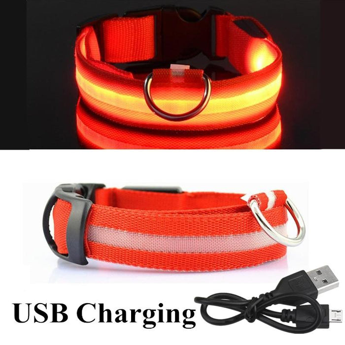 Pet Dog LED USB Rechargeable Collar