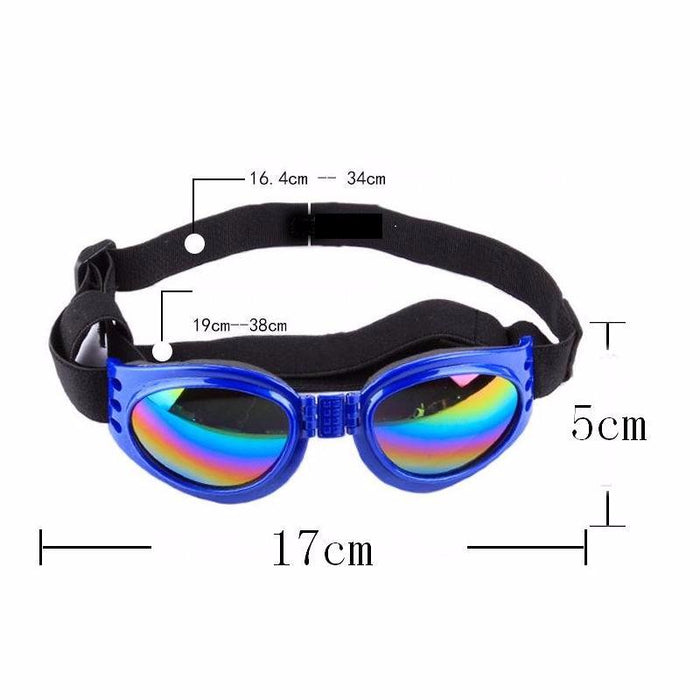 6 Colors Dog Glasses Glasses Outdoor Windproof Eye Protection