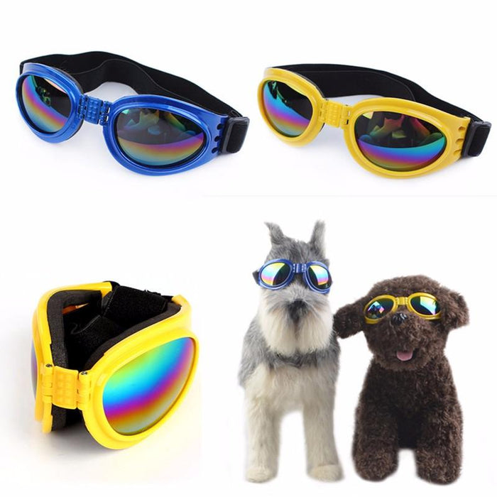 6 Colors Dog Glasses Glasses Outdoor Windproof Eye Protection