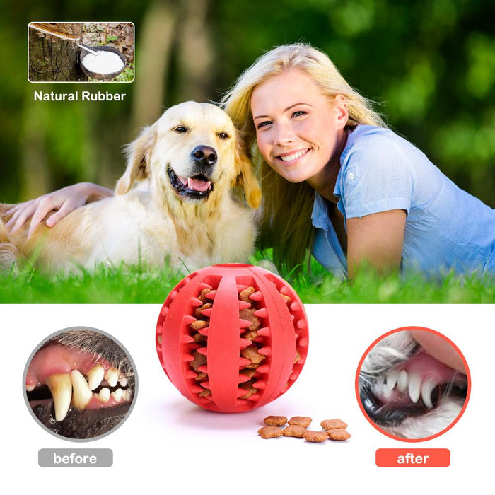 Pet dog rubber ball is suitable for dog and cat chew toys