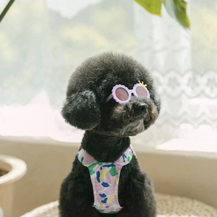 Creative Pet Dog Cat Cute Sunglasses Accessories