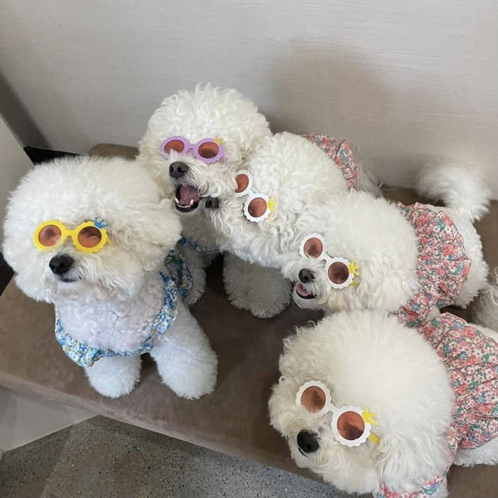 Creative Pet Dog Cat Cute Sunglasses Accessories