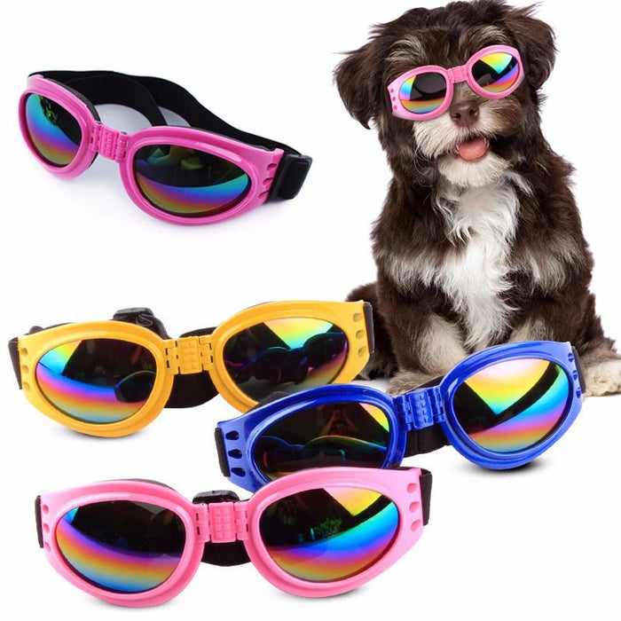 6 Colors Dog Glasses Glasses Outdoor Windproof Eye Protection
