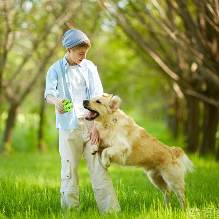 Pet dog rubber ball is suitable for dog and cat chew toys