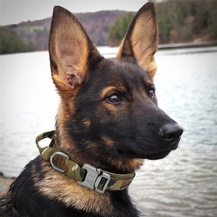 Military Tactical Dog Collar Large Dog Collar
