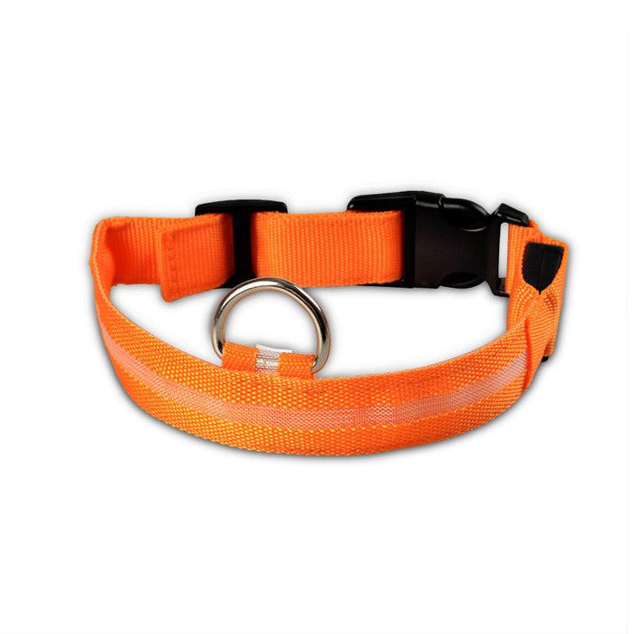 Pet Dog LED USB Rechargeable Collar